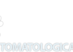 BitDentArt – Implant dentar Brasov