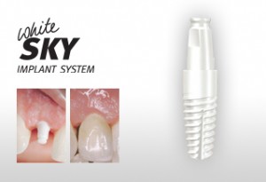 pret implanturi dentare bredent zirconiu